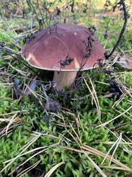IMG_4723.jpeg