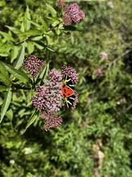 IMG_6197.jpeg