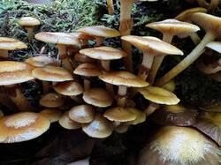 IMG_6432.jpeg