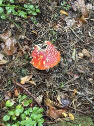 IMG_6448.jpeg