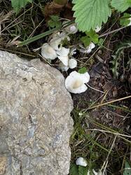IMG_6483.jpeg