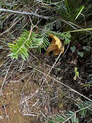 IMG_6503.jpeg