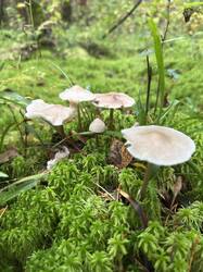 IMG_6659.jpeg