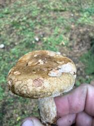 IMG_6757.jpeg