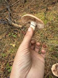 IMG_9520.jpeg
