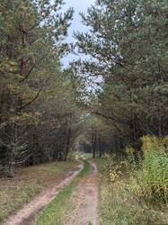 IMG_9525.jpeg