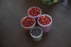 IMG_9624.thumb.JPG.41ba65cdbd0cde475ca75d54ecb430e8.JPG
