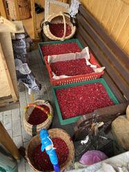 IMG_9961.jpeg