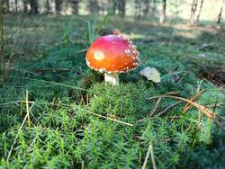 MVIMG_20260913_102723.thumb.jpg.075ca7b490d3f4fa2a34dd4731bcfad1.jpg