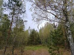 MVIMG_20260919_120612.thumb.jpg.5a7ac2fa0de6c7d574e09408b35432b1.jpg
