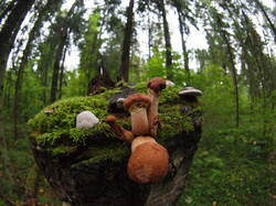 P1010330.JPG