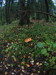 P1010373.JPG