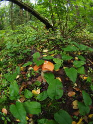 P1010400.JPG