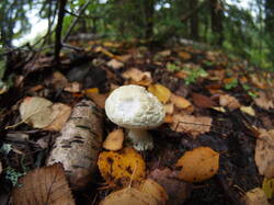P1010404.JPG