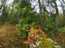 P1010410.JPG