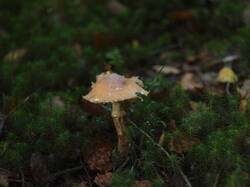 P1010710.JPG