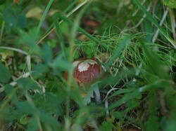 P1011077.JPG