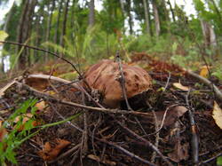 P9080440.JPG