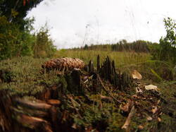 P9080494.JPG