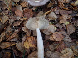 P9201210.JPG