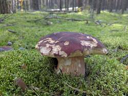 PXL_20260902_121429204.jpg