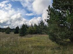 PXL_20260906_132133152.jpg