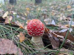 PXL_20260912_145757580.jpg