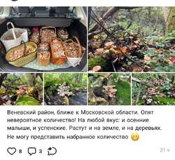 Screenshot_2026-09-29-14-37-55-750_com.vkontakte.android-edit.jpg