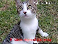 d8c1802f32b44d548c3058a9af5c1354.thumb.jpg.af63c9b582cf6359c96e7e12425bc685.jpg