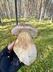 image-06-09-26-23-39-51.jpeg