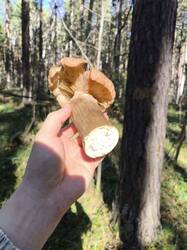 photo_2026-09-19_19-38-34.jpg