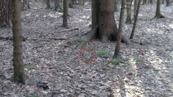 1001831534_23-(2).thumb.jpg.bc092042d128dfce73eeb0af0683a736.jpg
