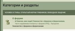 начало.JPG