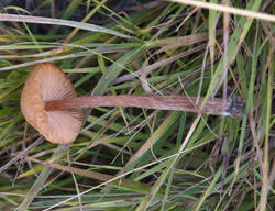 1400_DSC0064.thumb.jpg.9fe6b3ad52d04d16510f08573bf7a87f.jpg