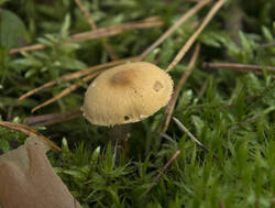 1400_DSC8057.thumb.jpg.60ea2a96ec0bc724af90b90abf95923a.jpg