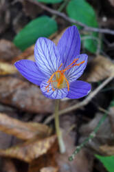 DSC09545а.jpg