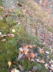 IMG_20261007_071408[1].jpg