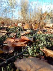 IMG_20261010_081916[1].jpg