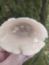 1791457334212.jpg