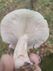 1791457334232.jpg