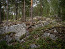 20220810-M3JR0362.thumb.jpg.eb264811eb96089b52b1417bd4499617.jpg