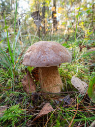 20261001-TAGE0516.thumb.jpg.4f8bb90f99be8207056ece5b2fbbac02.jpg