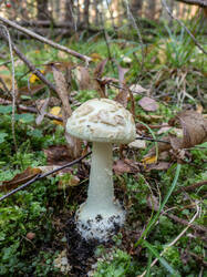 20261001-TAGE0962.thumb.jpg.a6f0fb07b7ceac1a7f9ebfc23ce672d5.jpg