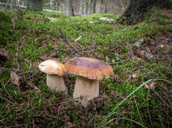 20261002-TAGE2220.thumb.jpg.fa0a8ab3b77929921672c32246c8cbea.jpg