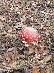 20261004_100044.jpg