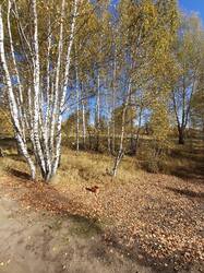 20261007_131405.jpg