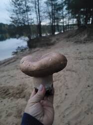 20261008_175935.jpg