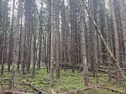 20261009_093233.thumb.jpg.d8d7421e56dc96a0e3762d3bbccca157.jpg