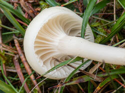 20261013-TAGE0327.thumb.jpg.111c1a13dfe4239585f2287755122b96.jpg