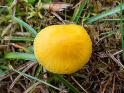 20261013-TAGE0636.thumb.jpg.1a4594e99557e698f788231ca23ea252.jpg